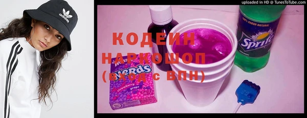 крисы Коряжма