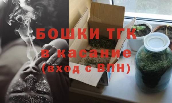 амф Козельск